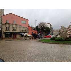 carruaje boda caballos, carro ceremonia, evento, comunión Galicia
