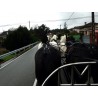 carruaje boda caballos, carro ceremonia, evento, comunión Galicia