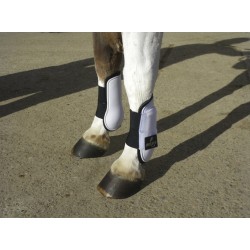 PROTECTORES MINISHETLAND DELANTEROS