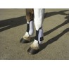 PROTECTORES MINISHETLAND DELANTEROS