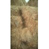 ALPACAS HIERVA