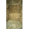 ALPACAS HIERVA