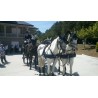 Casamento com  4 cavalos