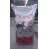 Horse Especial Hipica Marcos