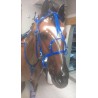 Enganche Troton