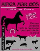 pienso mezcla caballos yeguas potros alimento comida Galicia económico