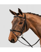 SILLAS Y ACCESORIOS EQ