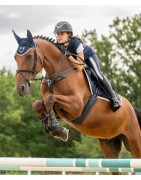 COMPLENTOS PARA EL CABALLO